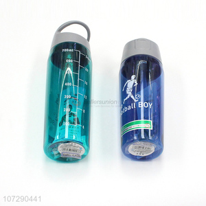 Good market eco-friendly water bottle portable drinking bottle with straw