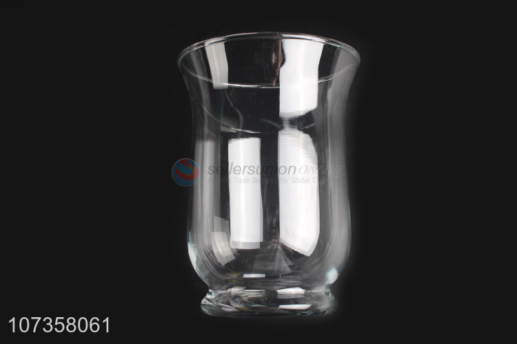 Low price clear glass flower vase hydroponics plant containers