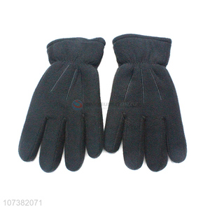 Wholesale Price Winter Warm Full Finger Polar Fleece Gloves