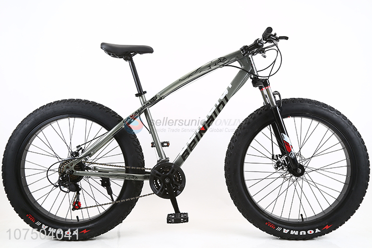 Hot Selling 26 Inch Adults Sports Snow Bicycle With Big Fat Tire