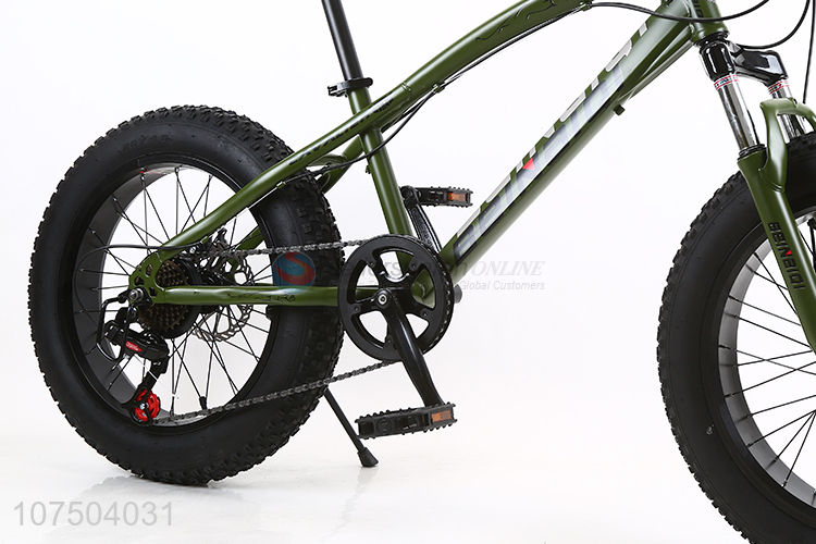 Good Quality 20 Inch Full Suspension Steel Frame Snow Bicycle