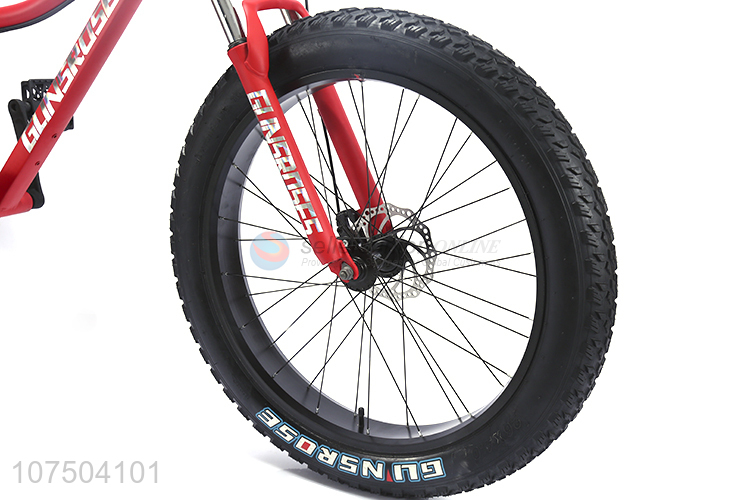 Hot Selling 26 Inch High-Performance Snowbike Mountain Bike