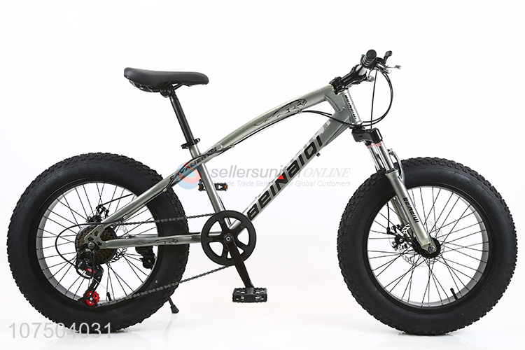 Good Quality 20 Inch Full Suspension Steel Frame Snow Bicycle