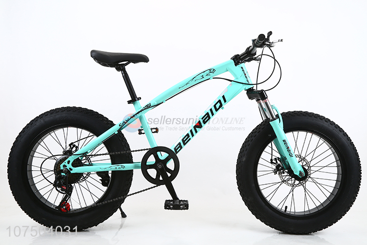 Good Quality 20 Inch Full Suspension Steel Frame Snow Bicycle