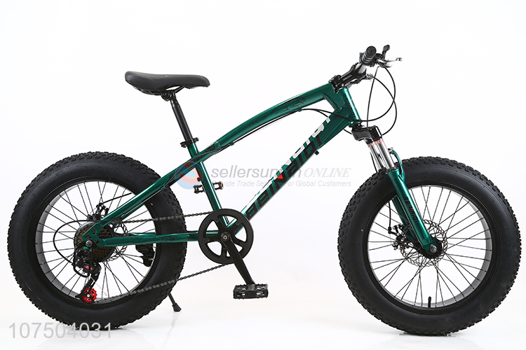 Good Quality 20 Inch Full Suspension Steel Frame Snow Bicycle