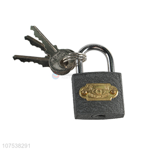 New Arrival Iron Lock Safety Padlock Gate Lock