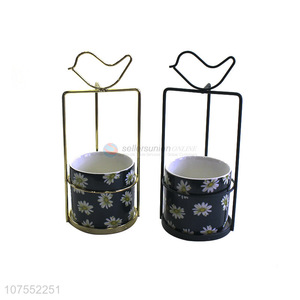 Contracted Design Gold Bird Iron Rack Ceramic Flowerpot For Home Decor