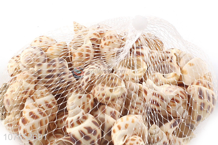 Best Sale Natural Seashells For Fish Tank And Home Decorations