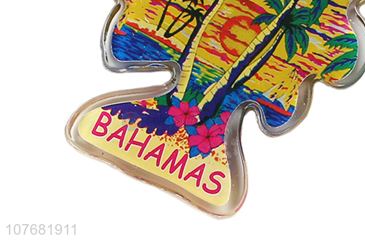 Good quality coconut palm key chain acrylic keychain key ring