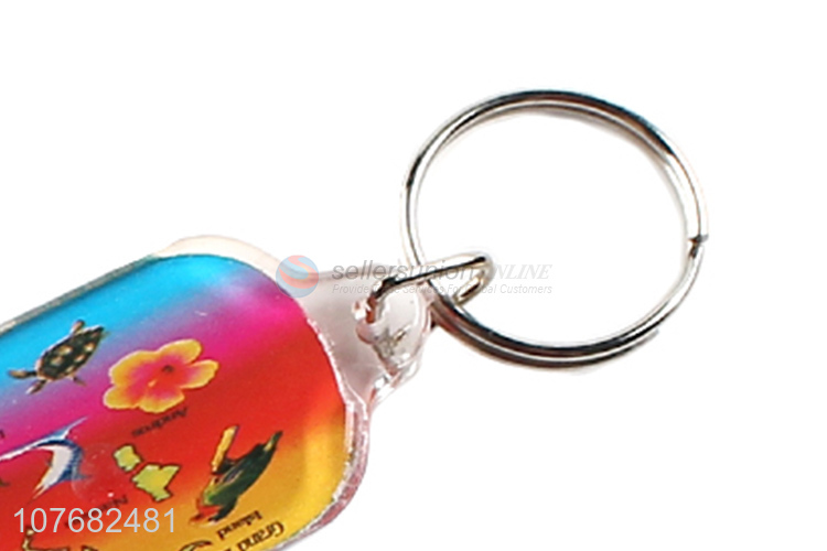 Good sale Bahamas souvenir key chain plastic keyring