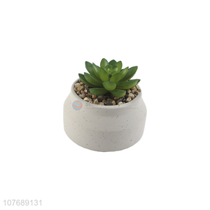 New Design Ceramic Flower Pot Succulent Plant Pot Combination