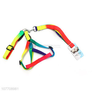 Hot sale heavy duty dog leash with collar for outdoor