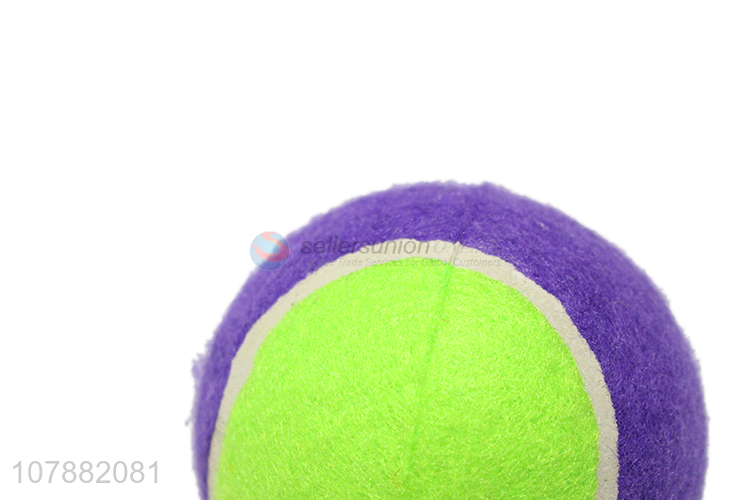 High Quality Colorful Tennis Pet Toy Dog Training Toy Ball