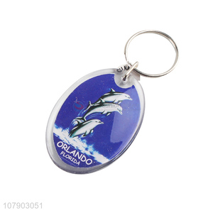 New Design Acrylic Oval Pendant Key Chain Custom Key Ring