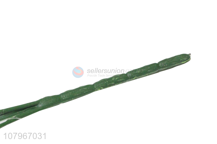 Top quality green mini podocarpus plant for home decoration