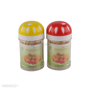 China yiwu plastic bottled toothpicks creative household toothpicks