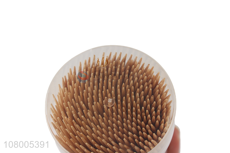 Top quality plastic bottled disposable toothpicks for household