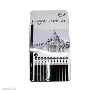 Yiwu market 12 pieces 4H-14B professional sketch pencil set for artists