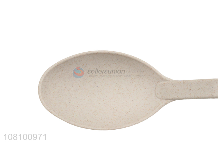 Good Quality Buffet Serving Spoon Mixing Spoon Cooking Spoon