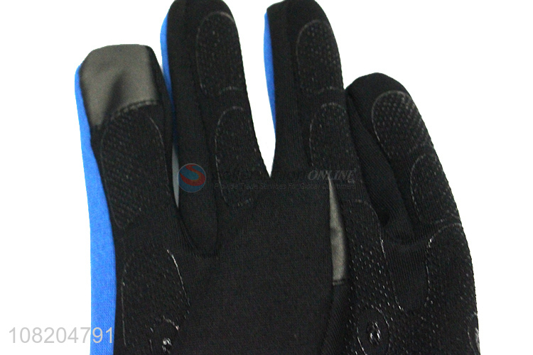 Hot Sale Hand Protective Gloves  Sports Gloves Hiking Gloves