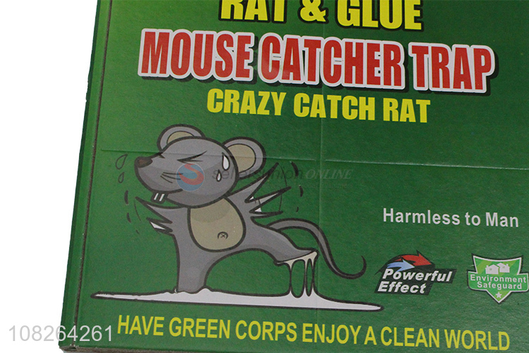 Chian supplier mouse catcher trap rat glue trap harmless to man