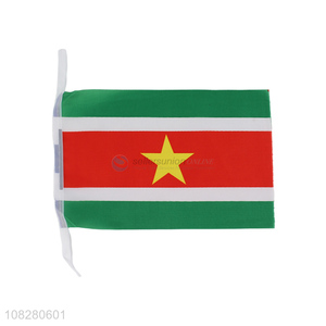 Factory Wholesale Polyester Flag Suriname Flag for Competition