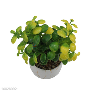Low price wholesale simple ceramic bonsai artificial plant