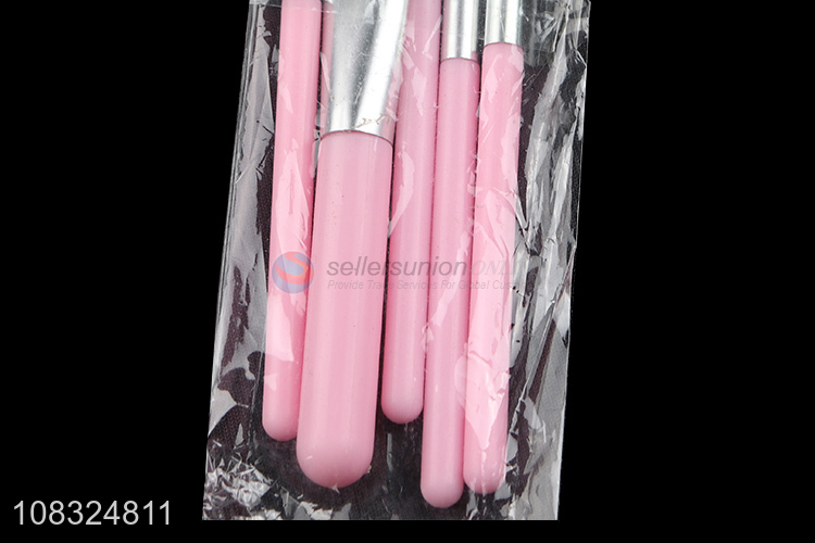 Popular products 5pieces girls makeup brush set for sale