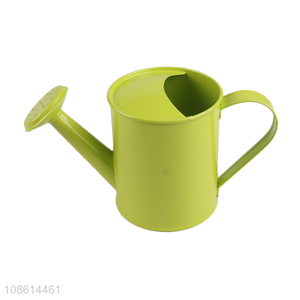 High quality indoor outdoor garden watering can metal watering can