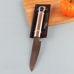 Popular products stainless steel kitchen fruits knife