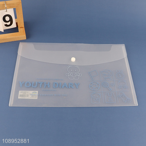 Hot Selling A4 Size Plastic Envelope File Folder Clear Document Folders