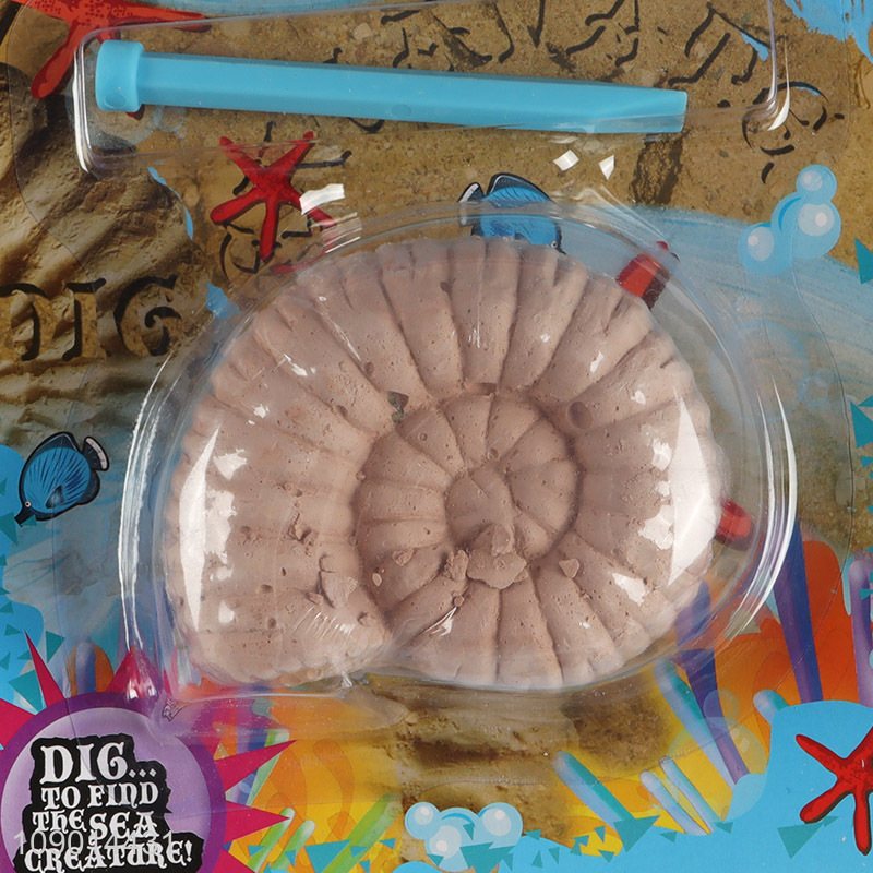 Online wholesale sea shell excavation digging kit educational toys for kids