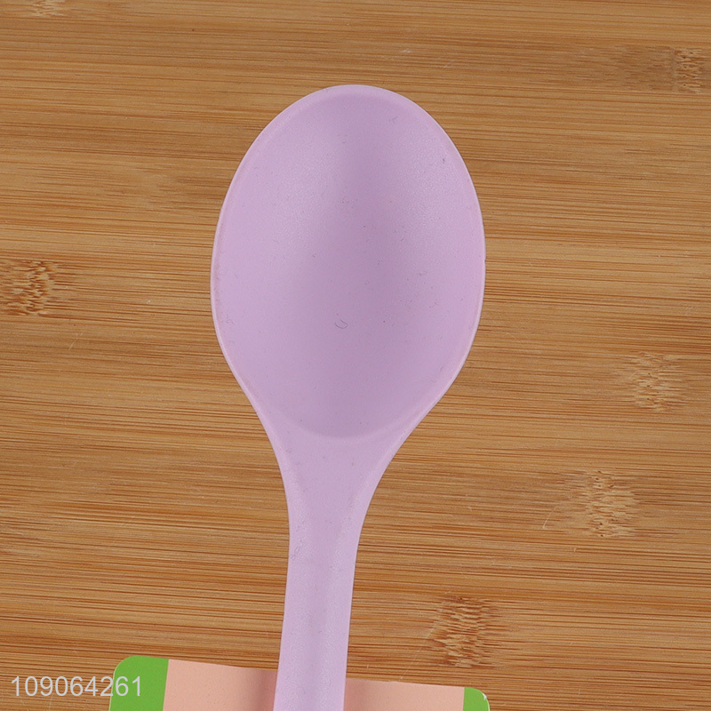 New arrival nylon kitchen utensils purple basting spoon for sale