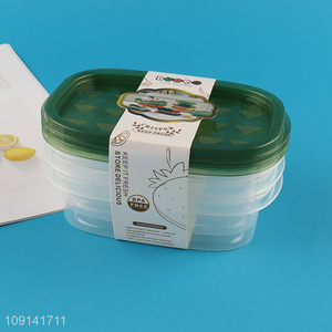 Popular Product 3 Pieces Plastic Food Storage Containers Set for Refrigerator