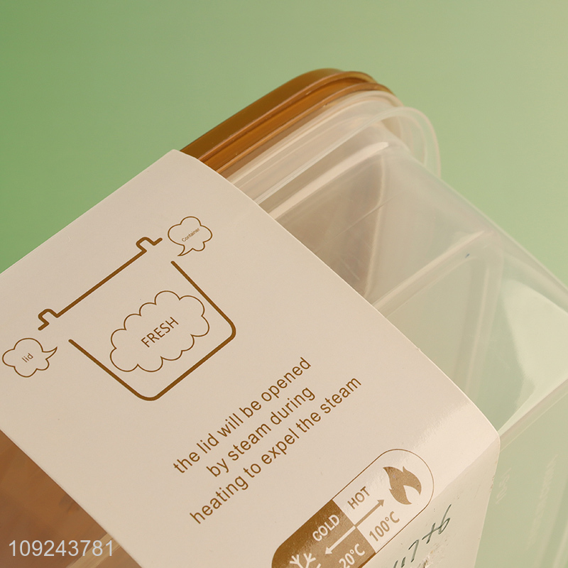 Hot Selling 2 Pieces Fruit Storage Containers Reusable Plastic Food Storage Containers