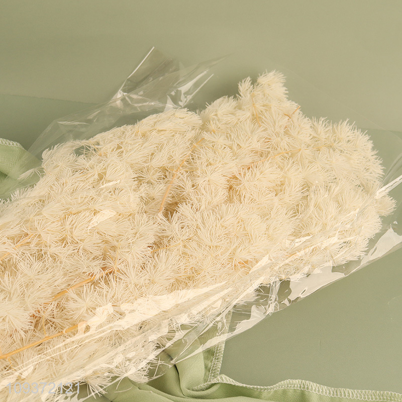 Good sale white home decor natural dried flower