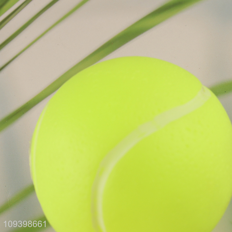 China wholesale pet tennis ball for pet training exercise
