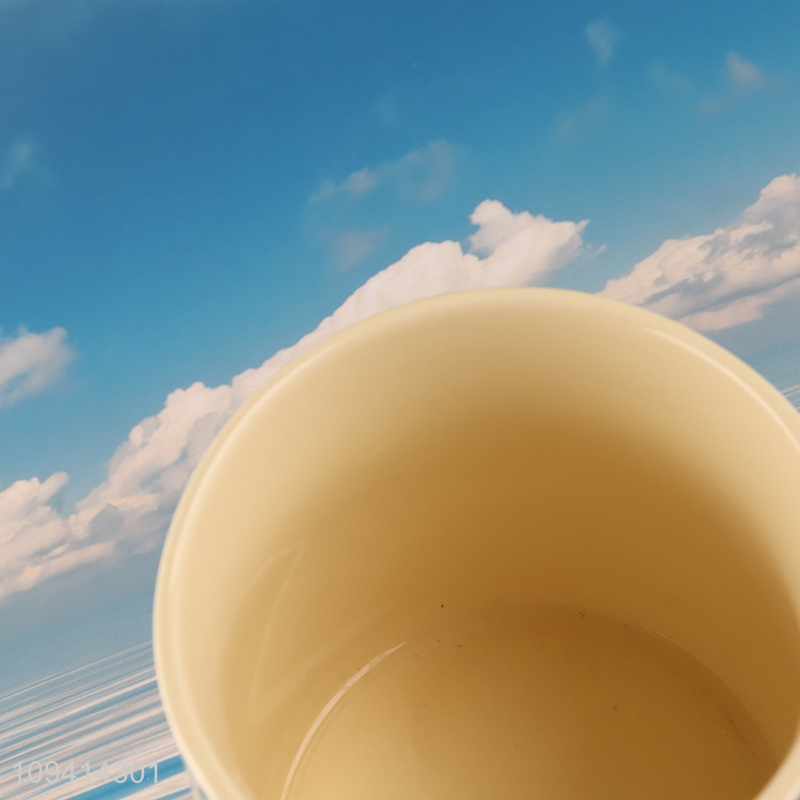 Good selling flower printed ceramic cup water cup