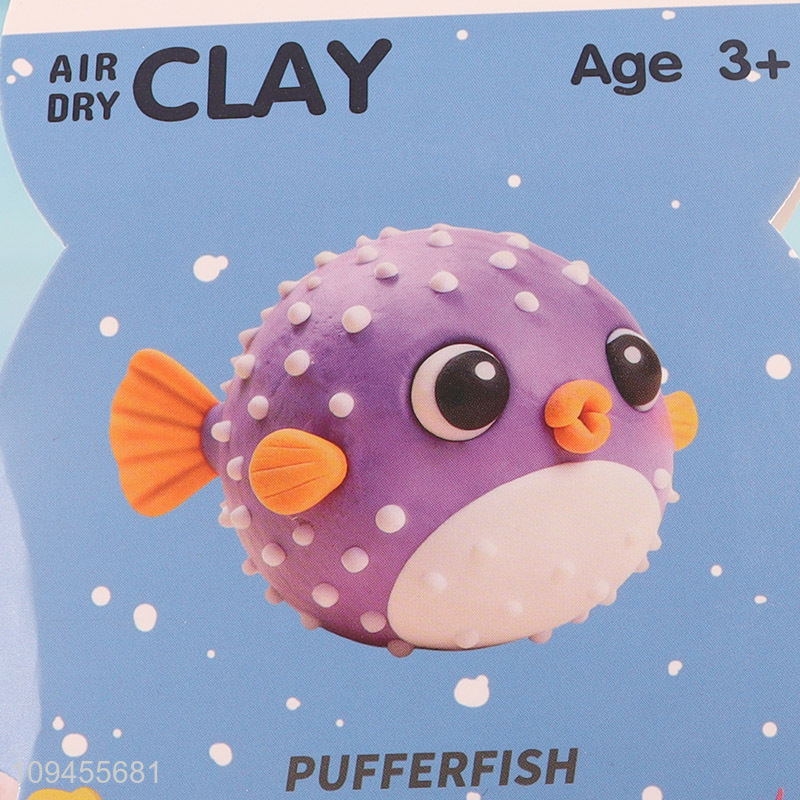 Wholesale air drying modeling clay kit