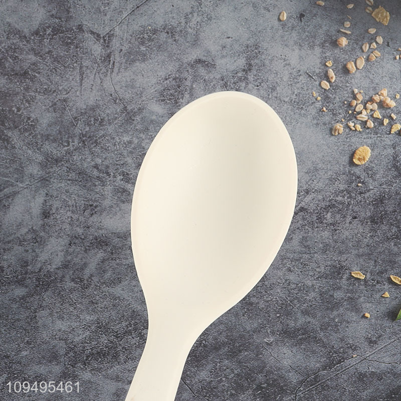 Hot products kitchen utensil basting spoon for sale