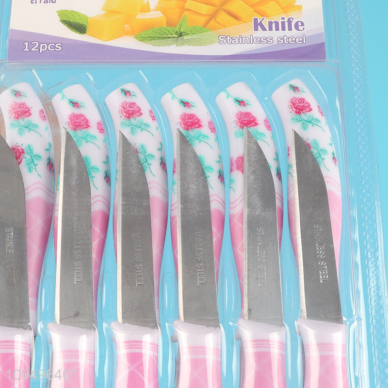 Wholesale 12pcs home dining knife fruits knife