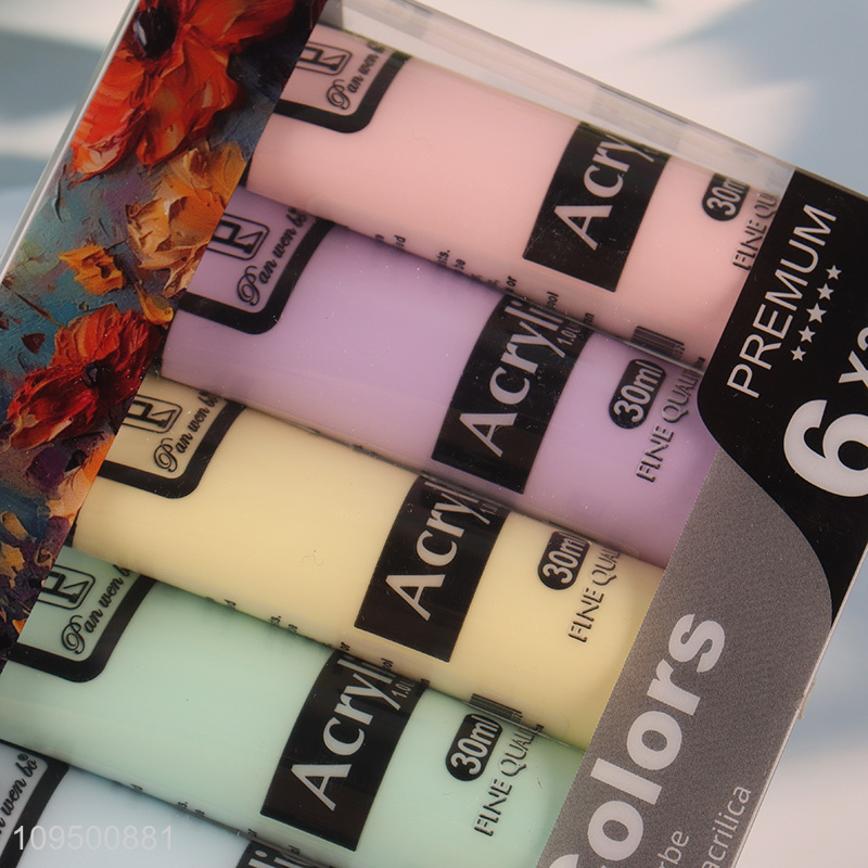 Low price 6 colors macaron acrylic paint set
