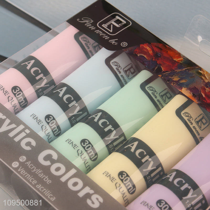 Low price 6 colors macaron acrylic paint set