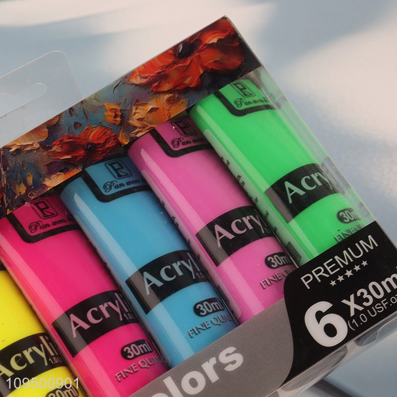 New arrival 6colors fluorescent acrylic paint set